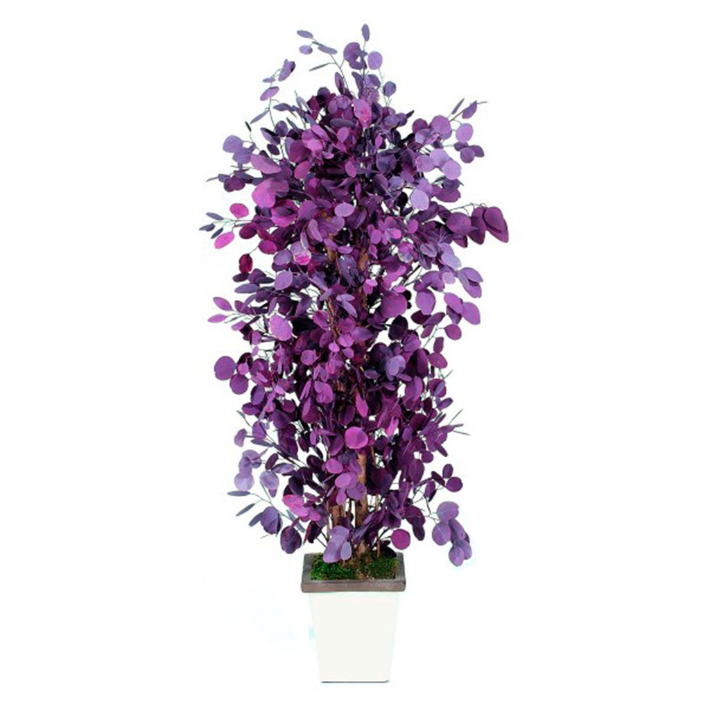 PPO/0213 Bushy Populus Eucalyptus Preserved Tree – Red, 130 cm Height | Indoor Decorative Tree