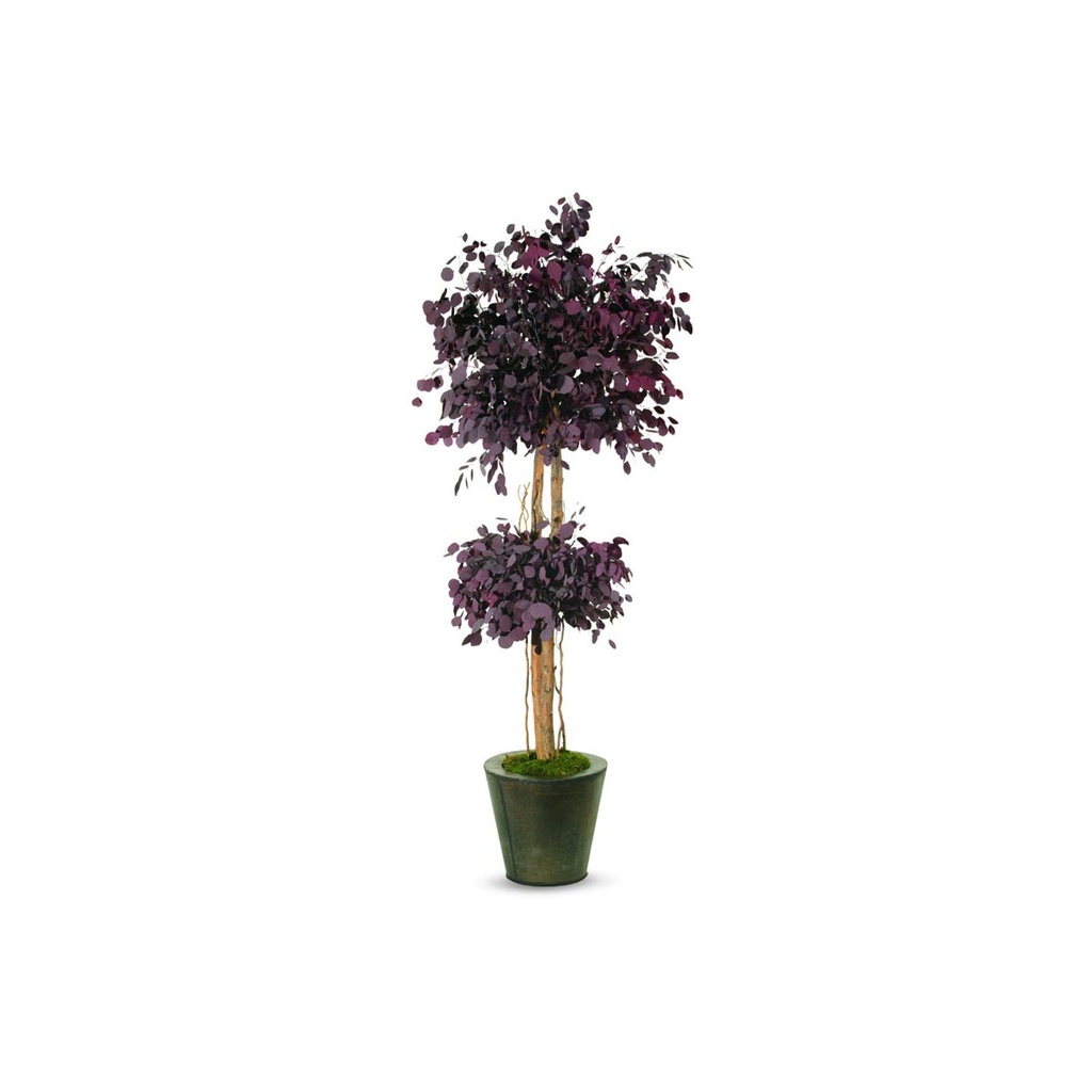 CPO/0224 Populus Mushroom-shaped Preserved Tree