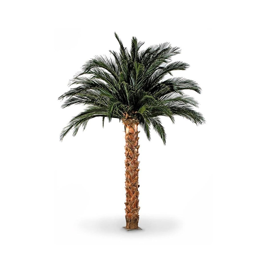KTP/0200 Palm Phoenix Preserved Tree – Green Kit (56 Leaves + Trunk + Metal Base), 320/350 cm Height | Indoor Decorative Tree 