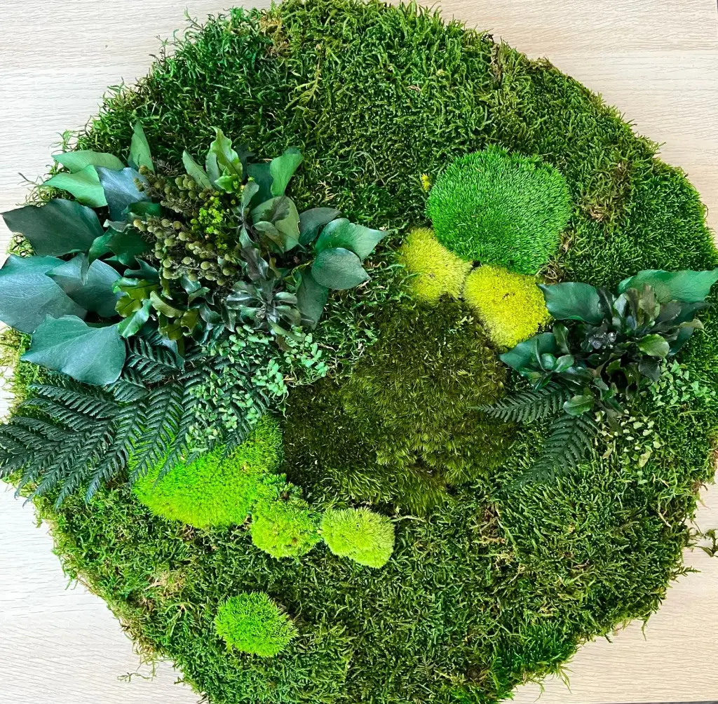 WMIX/2100 Preserved Green Wall Mix of Preserved Flat Moss, Ball Moss & Plants  proportion 80 to 20 - 1 M2