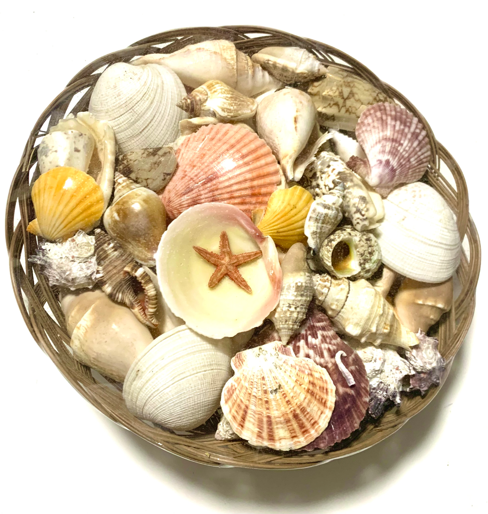SSH/0010 Cestino con conchiglie decorative grande