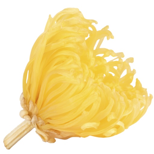 [ANA/2350] ANA/2350 Chrysantheme Anastasia stabilisierte Warmes Gelb W-Box 4 knospen
