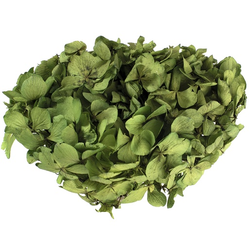 [HRT/0100] HRT/0100 Hydrangea Standard preserved Olive Green 1 bouquet 50 gr