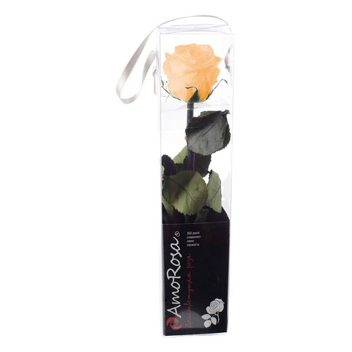 [PRZ/2550] PRZ/2550 Rose Amorosa stabilisée Mini Pêche