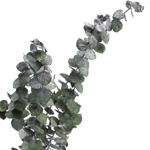[BBL/4103] BBL/4103 Baby Blue Eucalyptus stabilisée Vert 40-80 cm