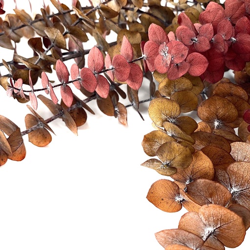 [BBL/4403T] BBL/4403T Baby Blue Eucalyptus Preserved Autumn 40-80 cm