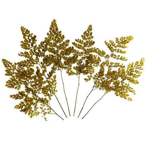 [FLU/9113] FLU/9113 Lutti Fern Preserved Olive  Green 20-30 cm