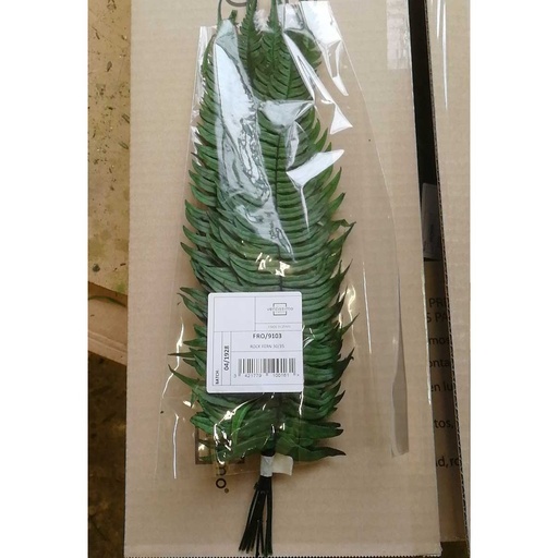 [FRO/9103] FRO/9103 Fern Roche Preserved Green 30-35 cm