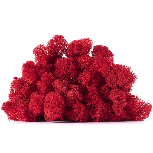 [LIC/0557] LIC/0557 Preserved Lichen Red - W-Box 0,5 kg
