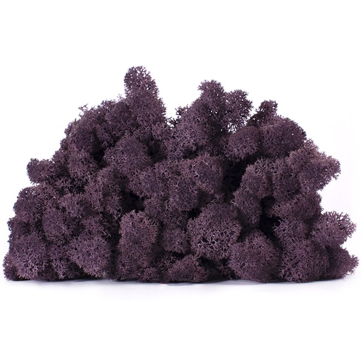 [LIC/0588] LIC/0588 Lichen stabilisé Aubergine W-Box 0,5 kg