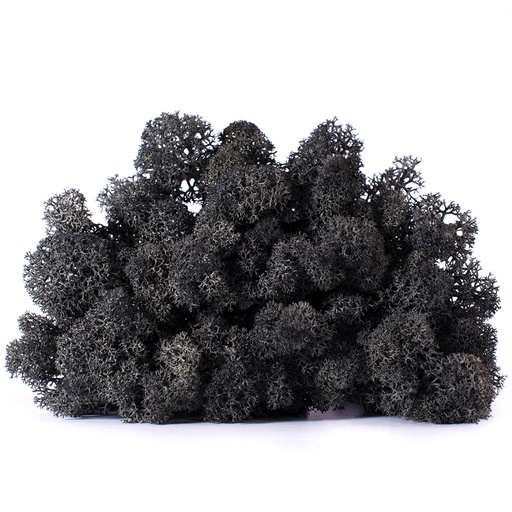 [LIC/4052] LIC/4052 Lichen stabilisée Noir Box 4 kg