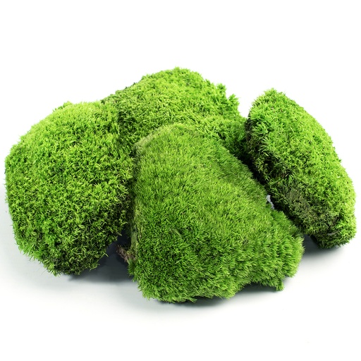 [MBS/1100] MBS/1100 Preserved Ball Moss - Box 0,35 kg - Spring (light green)