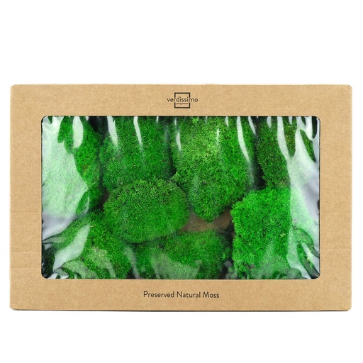 [MOB/1100] MOB/1100  Preserved Ball Moss - W-Box 0,2 kg - Green
