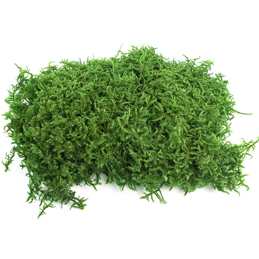 [MPL/1500] MPL/1500 Preserved Lycopodium Moss - Bulk Box 1,5 kg - Green