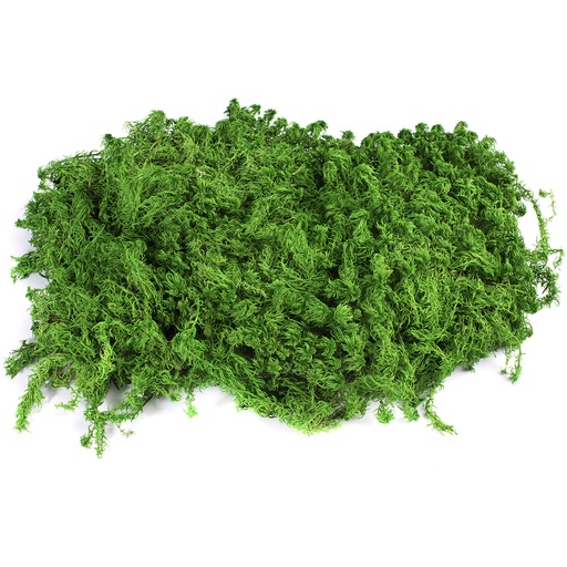 [MPS/1500] MPS/1500 Mousse Sphagnum stabilisée - Carton en vrac  1,5 kg - Vert
