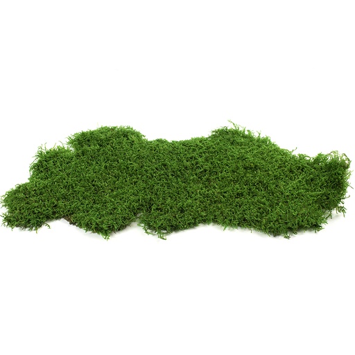[MPV/2500] MPV/2500 Muschio piatto stabilizzato Verde Forest - Bulk Box 2,5 kg - Green