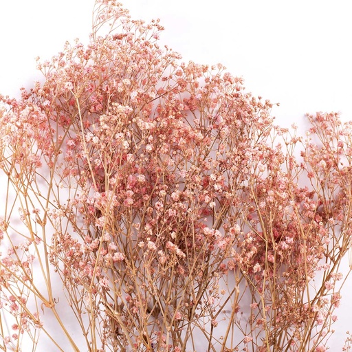 [MGY/4470T] MGY/4470T Gypsophila preserved Pink 30-50 cm