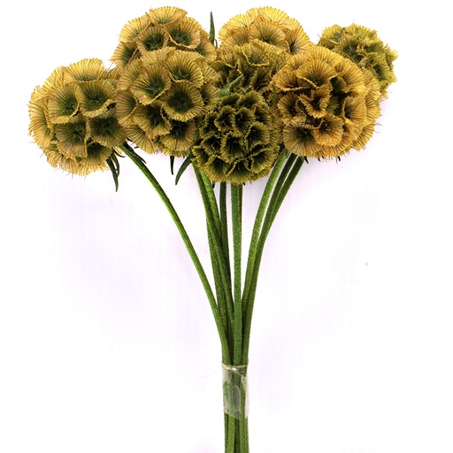 [SCA/0300T] SCA/0300T Scabiosa stabilisierte Gelb 10 stammzelle