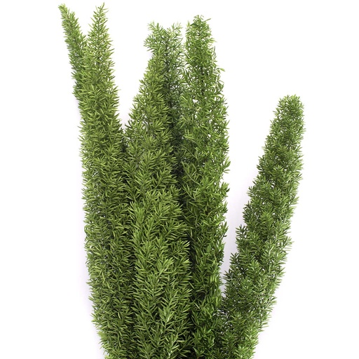 [FOT/0103] FOT/0103 Fox Tail preserved Green 30-40 cm