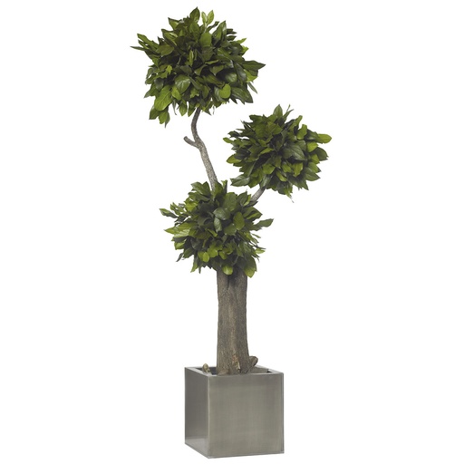 [JSA/0116] JSA/0116 Jumbo Bonsaï Salal Arbre Stabilisé Africa – Vert, 160 cm Hauteur | Arbre Décoratif d’Intérieur
