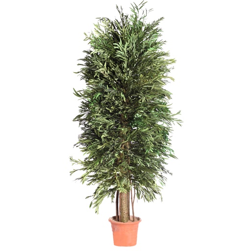 [ANI/0124] ANI/0124 Bushy Nicoly Preserved Tree – Green, 240 cm Height | Indoor Decorative Tree 