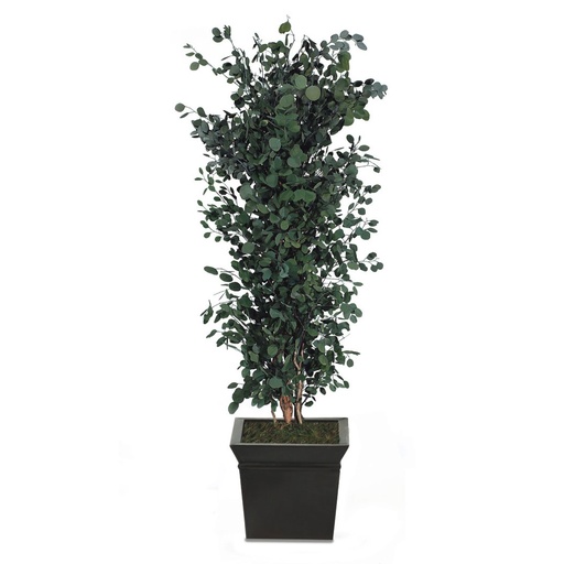 [APO/0118] APO/0118 Arbre touffus stabilisé Vert Populus hauteur 180 cm