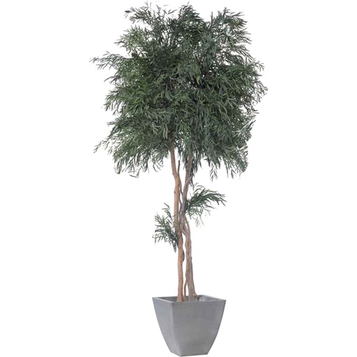 [CNI/0124] CNI/0124 Mushroom tree preserved Green Nicoly height 240 cm