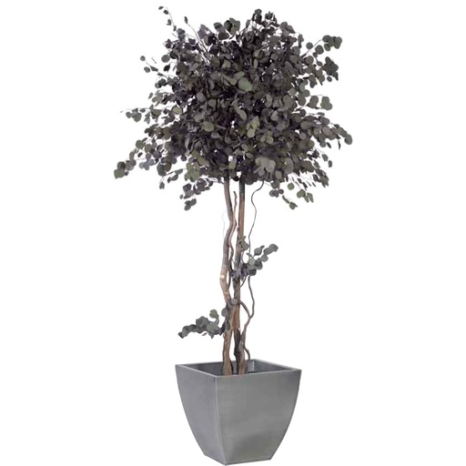 [CPO/0120] CPO/0120 Arbre champignon stabilisé Populus Vert 200 cm