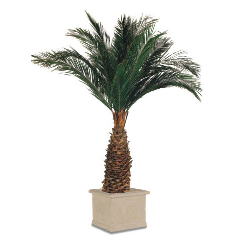 [KAG/0230] KAG/0230 Palm tree stabilisiert Grün Kit Agave (13 Feuilles + Tronc + Base Metal) 