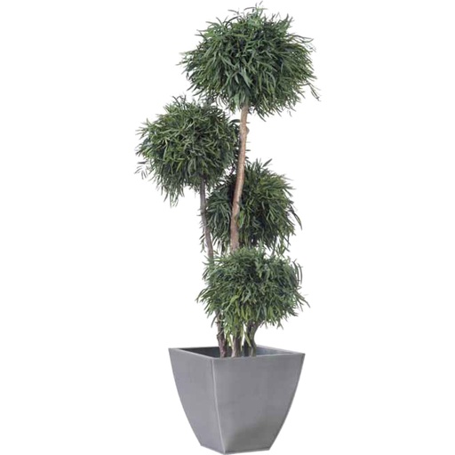 [ABN/0118] ABN/0118 Topiary 4 ball tree diam 30 cm preserved Green Nicoly height 180 cm