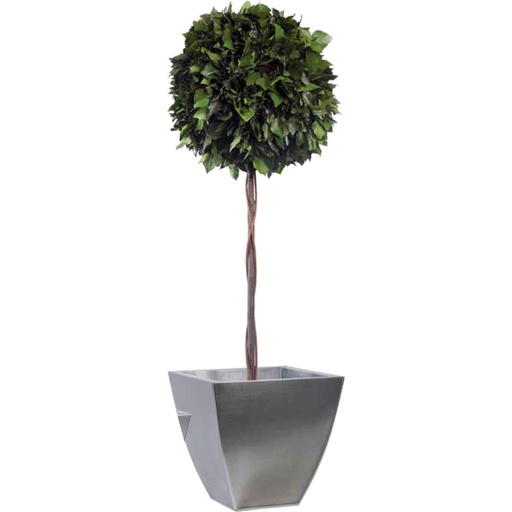 [BHE/0114] BHE/0114 Topiary tree preserved Green Hedera (Ivy) diam 45 cm height 140 cm