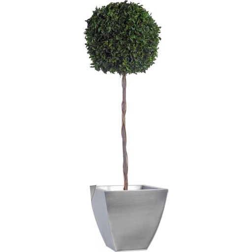 [BPI/0114] BPI/0114 Topiary tree preserved Green Pittosporum diam 45 cm height 140 cm