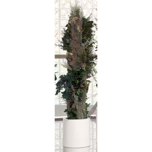 [T-BOS16] T-BOS16 Totem preserved Green Forest height 1,60 m