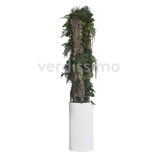 [T-PRA16] T-PRA16 Totem preserved Green Prairie height 1,60 m