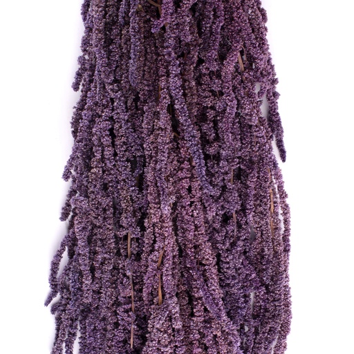 [AMA/4824] AMA/4824 Amarante stabilisée Violet 40-70 cm