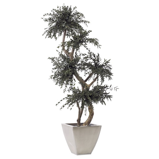 [MPA/0115] MPA/0115 BonsaI albero stabilizzato Verde 5 sfere (20 cm) Parvifolia Topiary 1,5 m