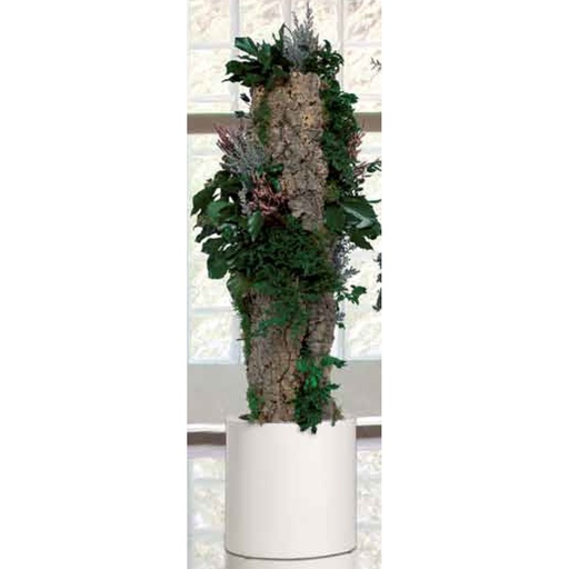 [T-BOS10] T-BOS10 Totem preserved Green Forest height 1,0 m