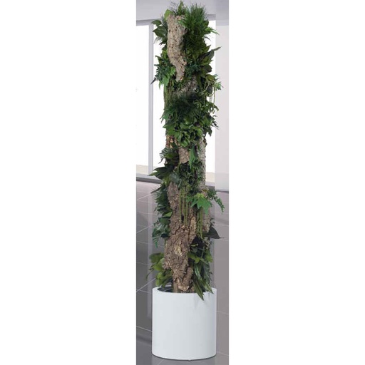 [T-PRA20] T-PRA20 Totem preserved Green Prairie height 1,90 m
