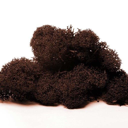 [LIR/0565] LIR/0565 Lichen stabilisée Brun W-Box 0,5 kg