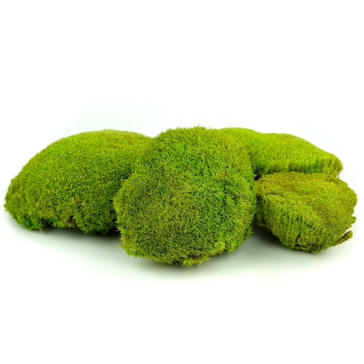 [MOBS/1100] MOBS/1100 Preserved Ball Moss Light Green - W-Box 0,2 kg
