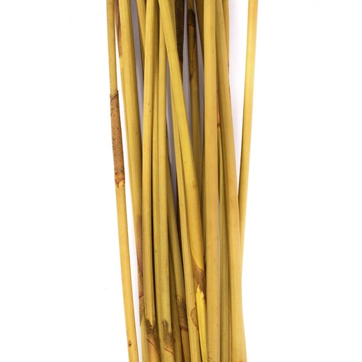 [REP/9307] REP/9307 Éléphant Reed stabilisée Jaune 80-100 cm