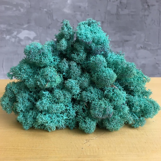 [LIR/0587] LIR/0587 Preserved Lichen Tiffany - Clean - W-Box 0,5 kg