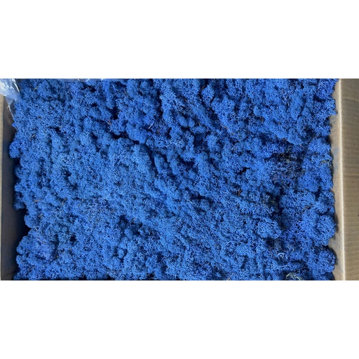 [LIC/4074] LIC/4074 Lichen stabilisé Bleu Roi Box 4 kg