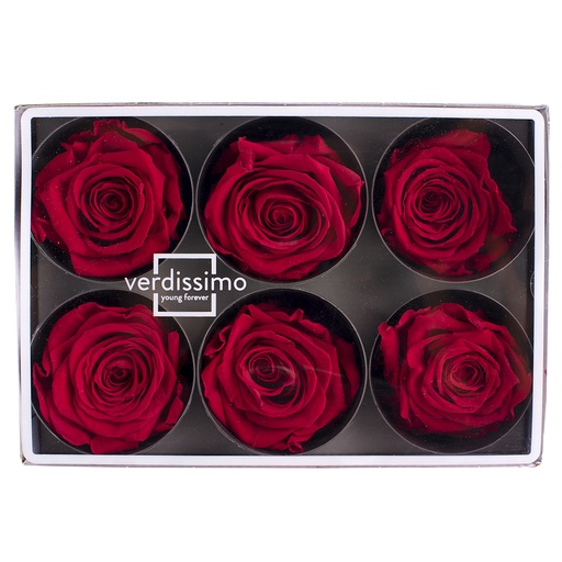 [RST/2200] RST/2200 Rose Köpfe Stehen stabilisierte Rot W-Box 6 Köpfe 