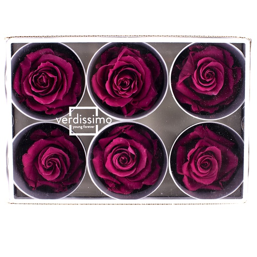 [RST/2840] RST/2840 Rose Köpfe Stehen stabilisierte Lila W-Box 6 Köpfe 