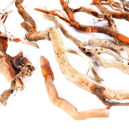 [BRA/0010R] BRA/0010R Mediterranean decorative driftwood