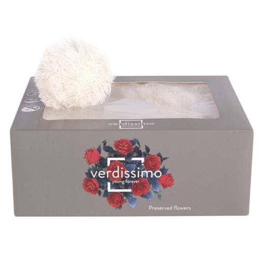 [GRB/2000] GRB/2000 Œillet Verte boule  stabilisée Blanc W-Box 4  têtes