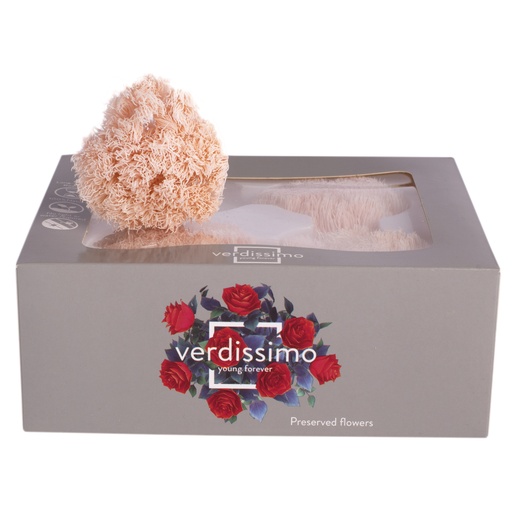 [GRB/2420] GRB/2420 Œillet Verte boule stabilisée Rose Pastel W-Box 4 têtes