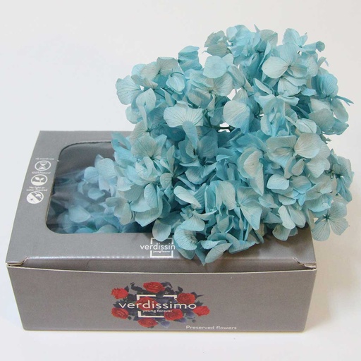 [HRW/1630] HRW/1630 Hydrangea Premium stabilisée Light Blue W-Box 20 gr