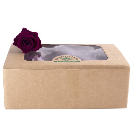 [RME/3710] RME/3710 Rose Heads Medium preserved Byzance W-Box 8 Ud